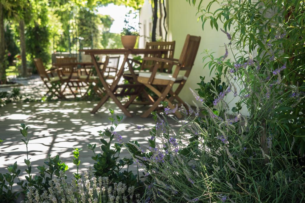 Casa Soares Villa Milheirós de Poiares Dış mekan fotoğraf