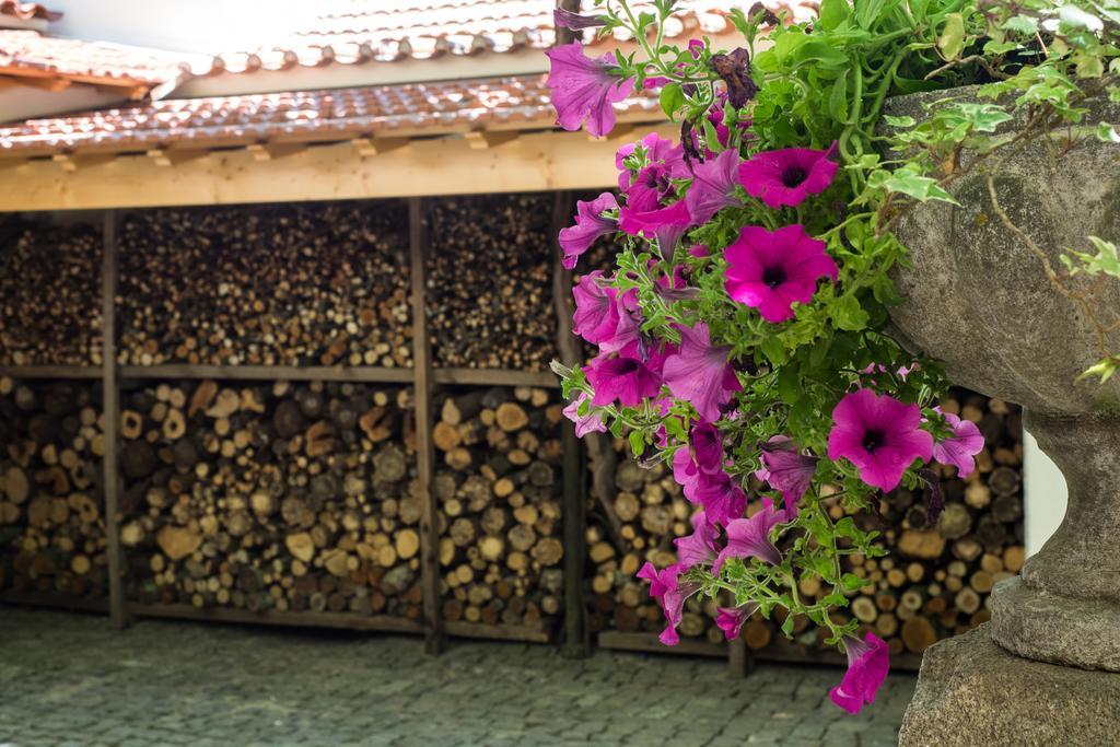 Casa Soares Villa Milheirós de Poiares Dış mekan fotoğraf
